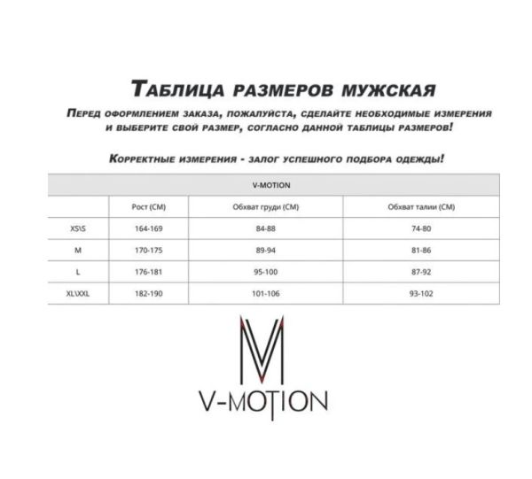 Термобельё V-MOTION Base мужской серебристый в Тюмени