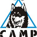 Кошки CAMP в Тюмени