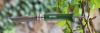 Нож Opinel №8 Trekking н/с, хаки 001703