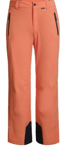 Брюки горнолыжные Icepeak 657038839IV 455 в Тюмени