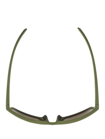 Купить Очки Alpina Nacan I Olive Matt/Bronce Mirror Cat.3 в Тюмени