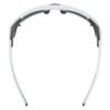 Купить Очки Alpina Skywalsh Q Smoke-Grey Matt/Green Mirror Cat.4 Fogstop в Тюмени