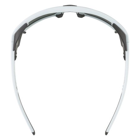 Купить Очки Alpina Skywalsh Q Smoke-Grey Matt/Green Mirror Cat.4 Fogstop в Тюмени