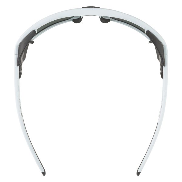 Купить очки alpina skywalsh q smoke-grey matt/green mirror cat.4 fogstop в Тюмени