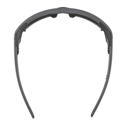 Купить Очки Alpina Skywalsh Q Midnight-Grey Matt/Blue Mirror Cat.4 Fogstop в Тюмени
