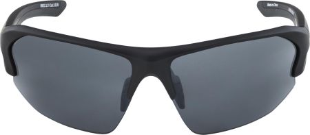 Купить Очки Alpina Lyron Hr Black Matt/Black Mirror Cat.3 в Тюмени